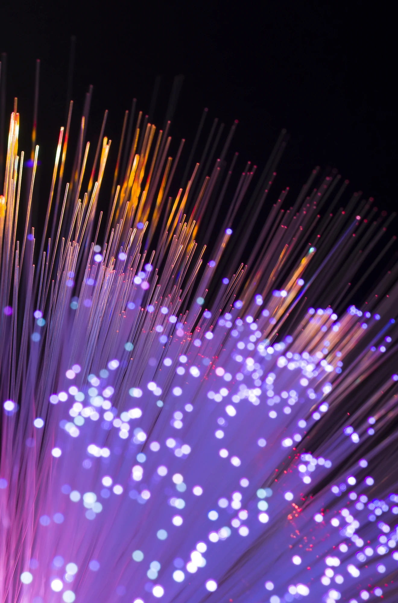Illuminated fiber-optic strands against a dark background.
